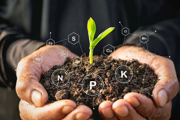 12d69ab8c0e375e70a78a909f5342dad