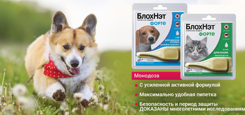 блох