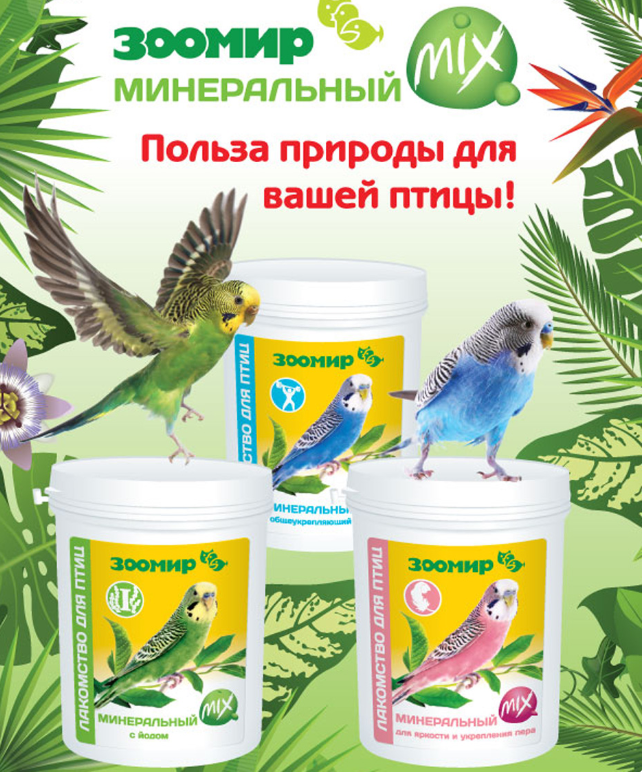 зоо