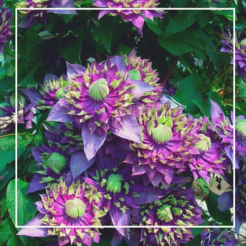 JbiqIh8bjOgE-OveU6JStxKOIhk5d1i28rLDFsE6WDAqCXNVz9SKjYeCDUNiwDPjLALxXtg-X52JLSuH4 hbiMJy copy