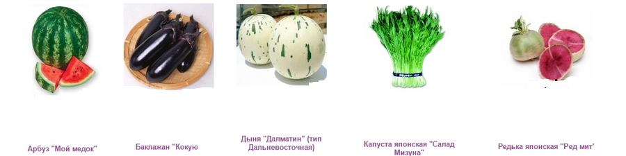 Безымянный copy copy copy copy