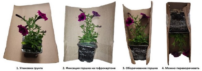 images-Ext images--845x300