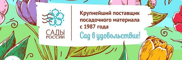 Скриншот 11-12-2025 213708