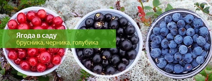 Скриншот 17-02-2026 200105